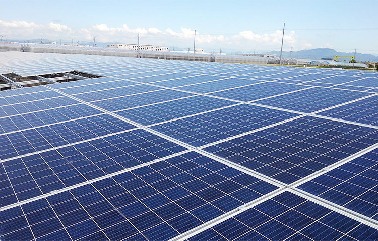 太陽光発電・蓄電池